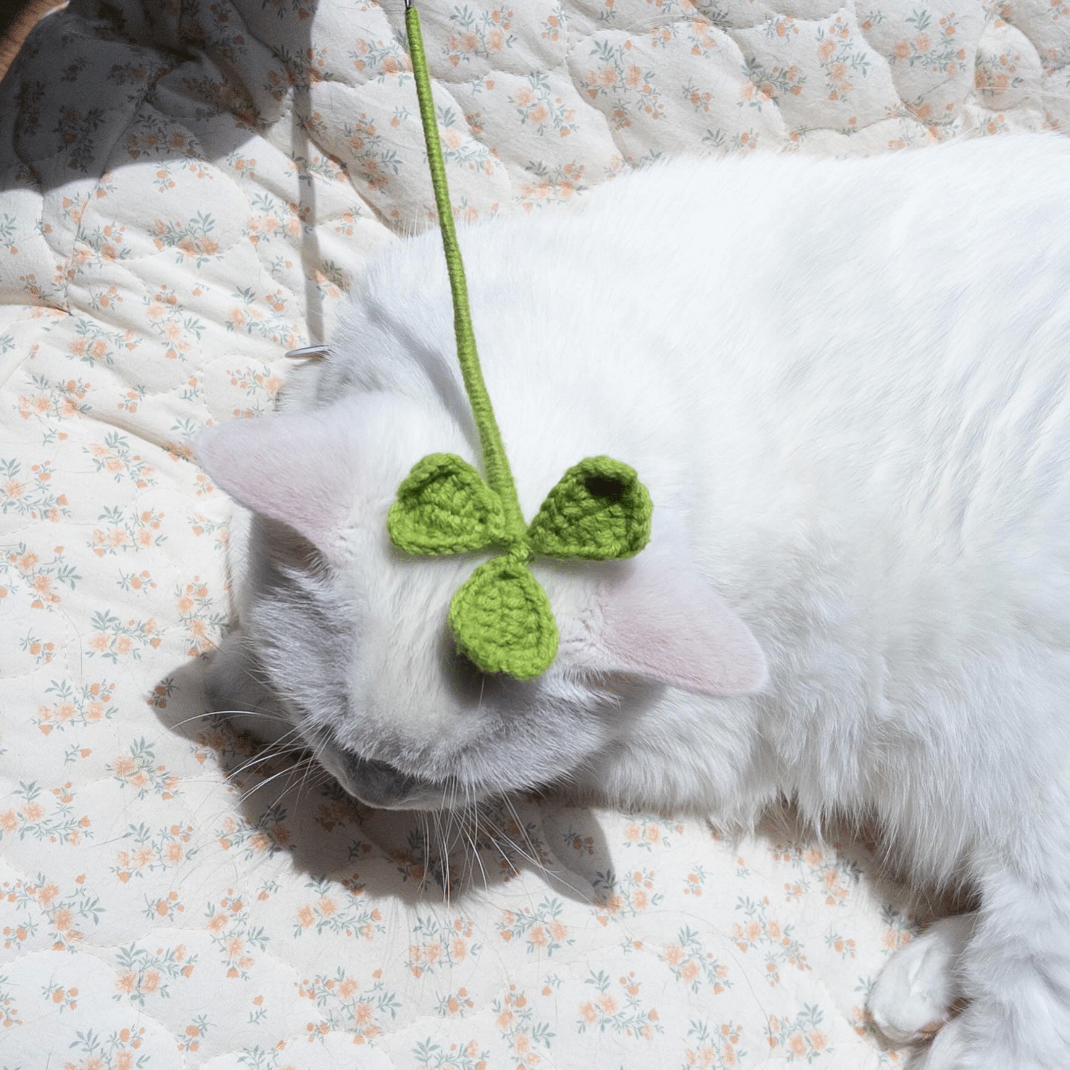 猫じゃらし - 手編みのクローバー – Sorbet 猫じゃらし - 手編みのクローバー – Sorbet
