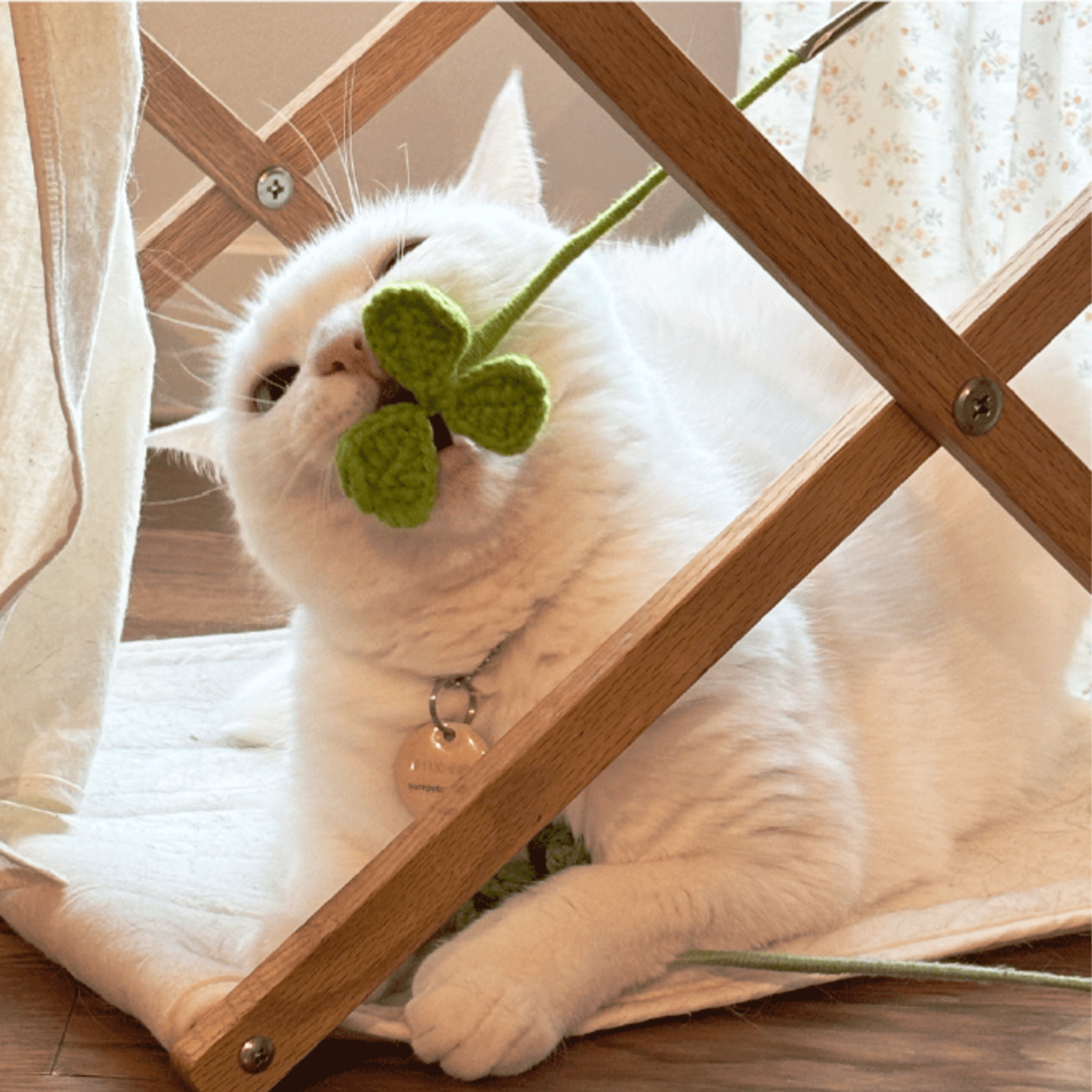 猫じゃらし - 手編みのクローバー – Sorbet 猫じゃらし - 手編みのクローバー – Sorbet
