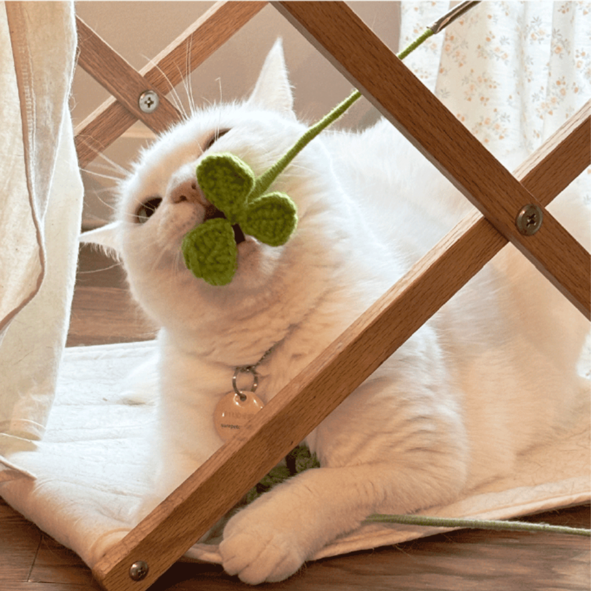 gotta-go-home-cat-toys--