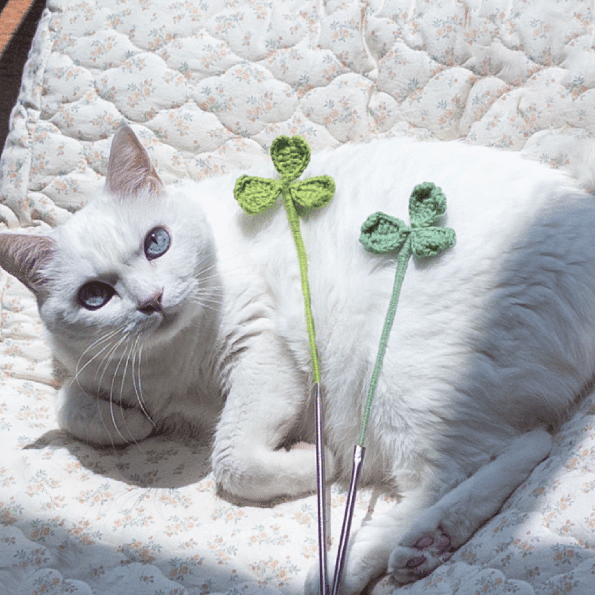 gotta-go-home-cat-toys--