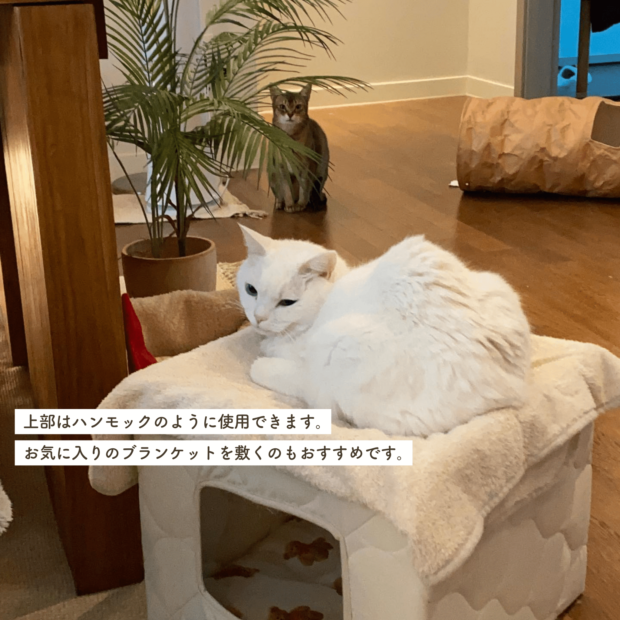 キルティングの隠れ家 – Sorbet