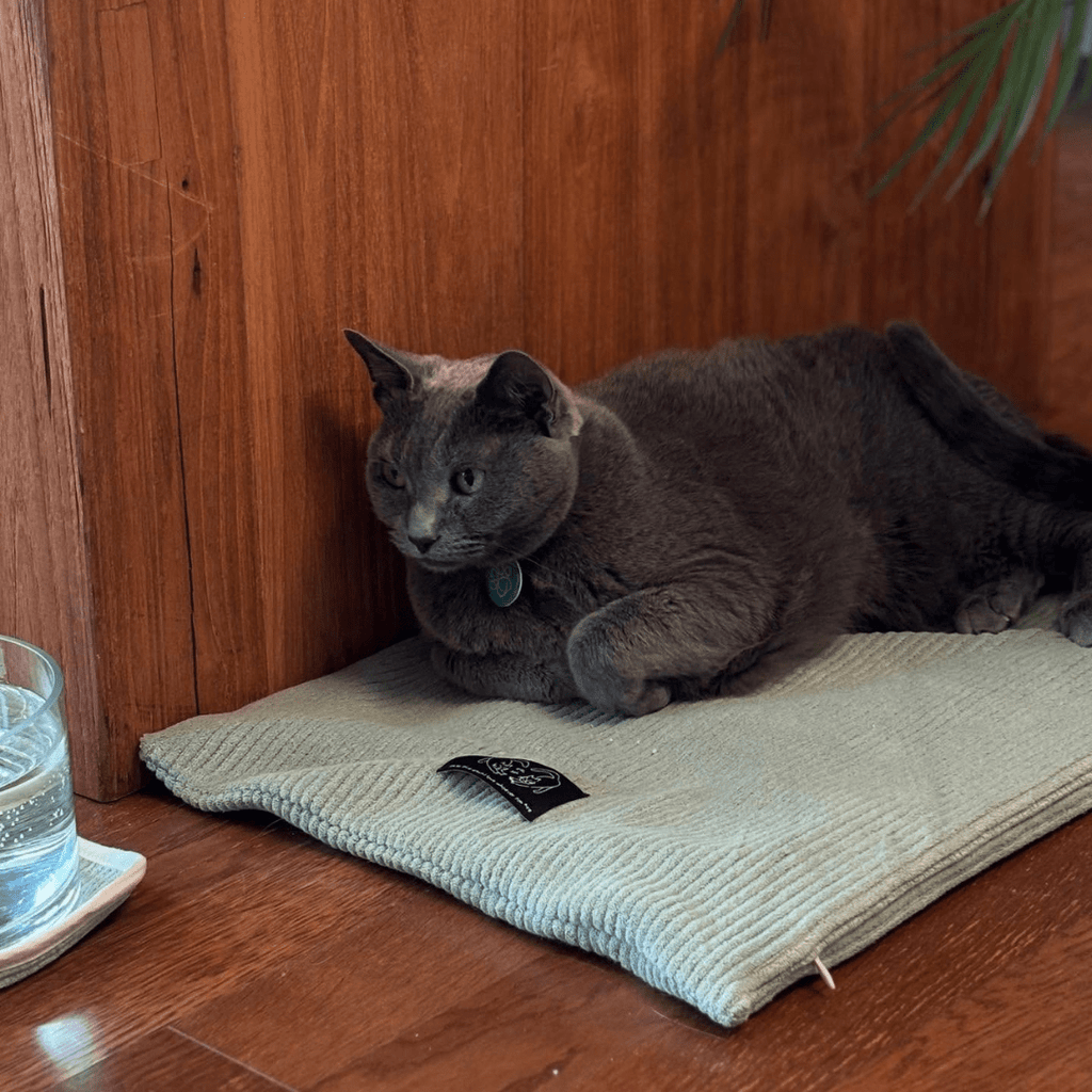gotta go home HOME ［7/18(金)18:00～］［限定コラボ］猫のバスマット - green