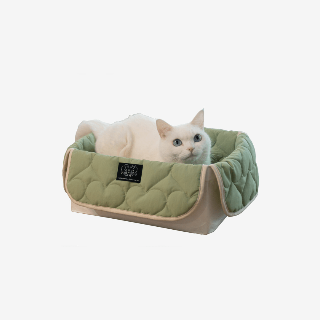 猫用品専門店・キャットタワー | Sorbet (ソルベ)