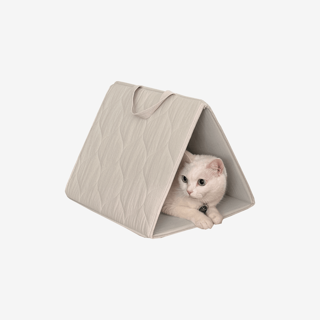 ALL CAT TOYS
