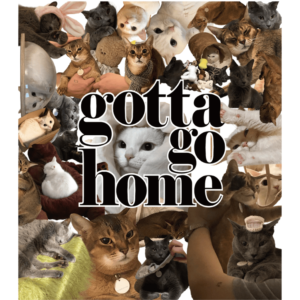 gotta go home WEAR ［7/18(金)18:00～］［限定コラボ］Tシャツ - 飼い主用