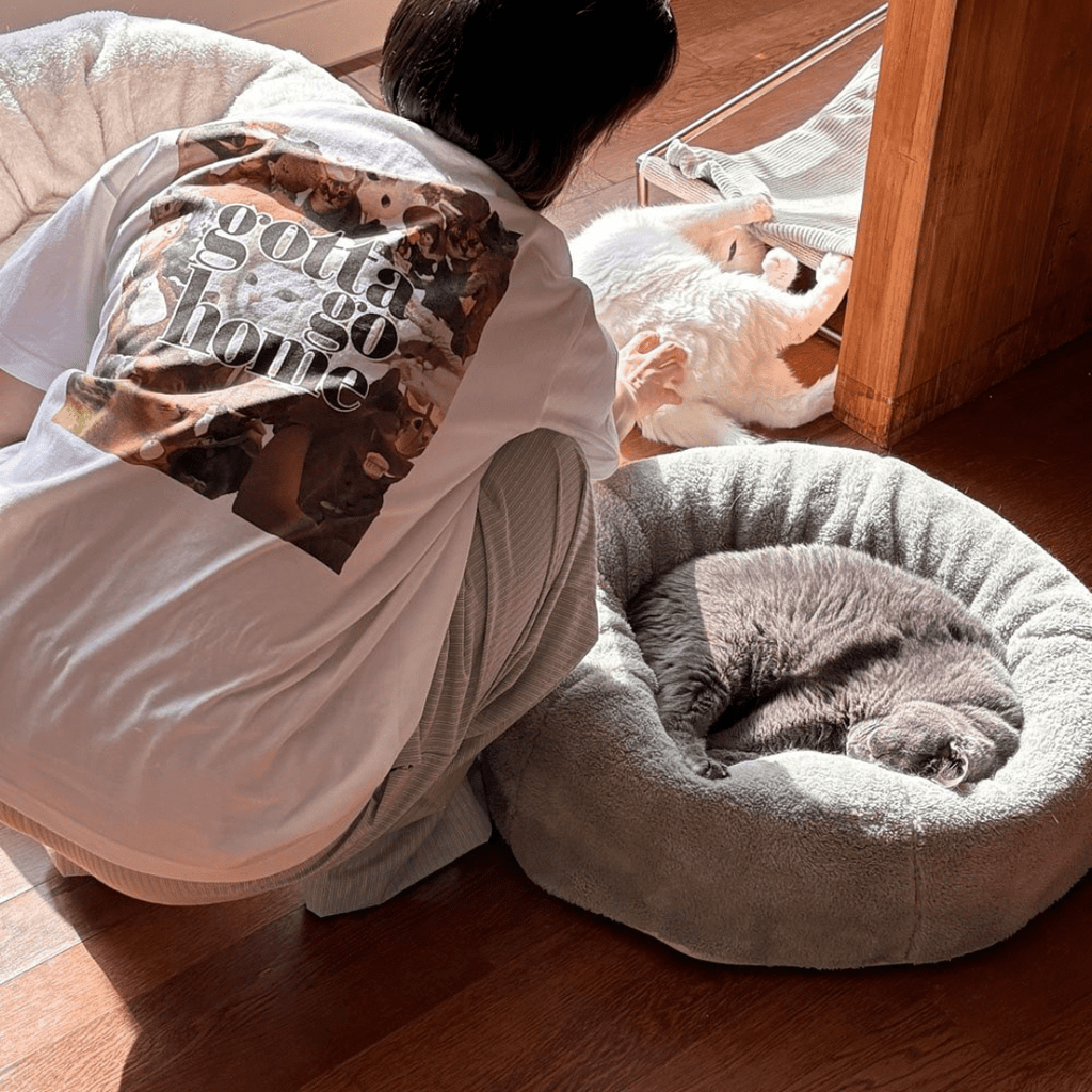 gotta go home WEAR XL ［7/18(金)18:00～］［限定コラボ］Tシャツ - 飼い主用