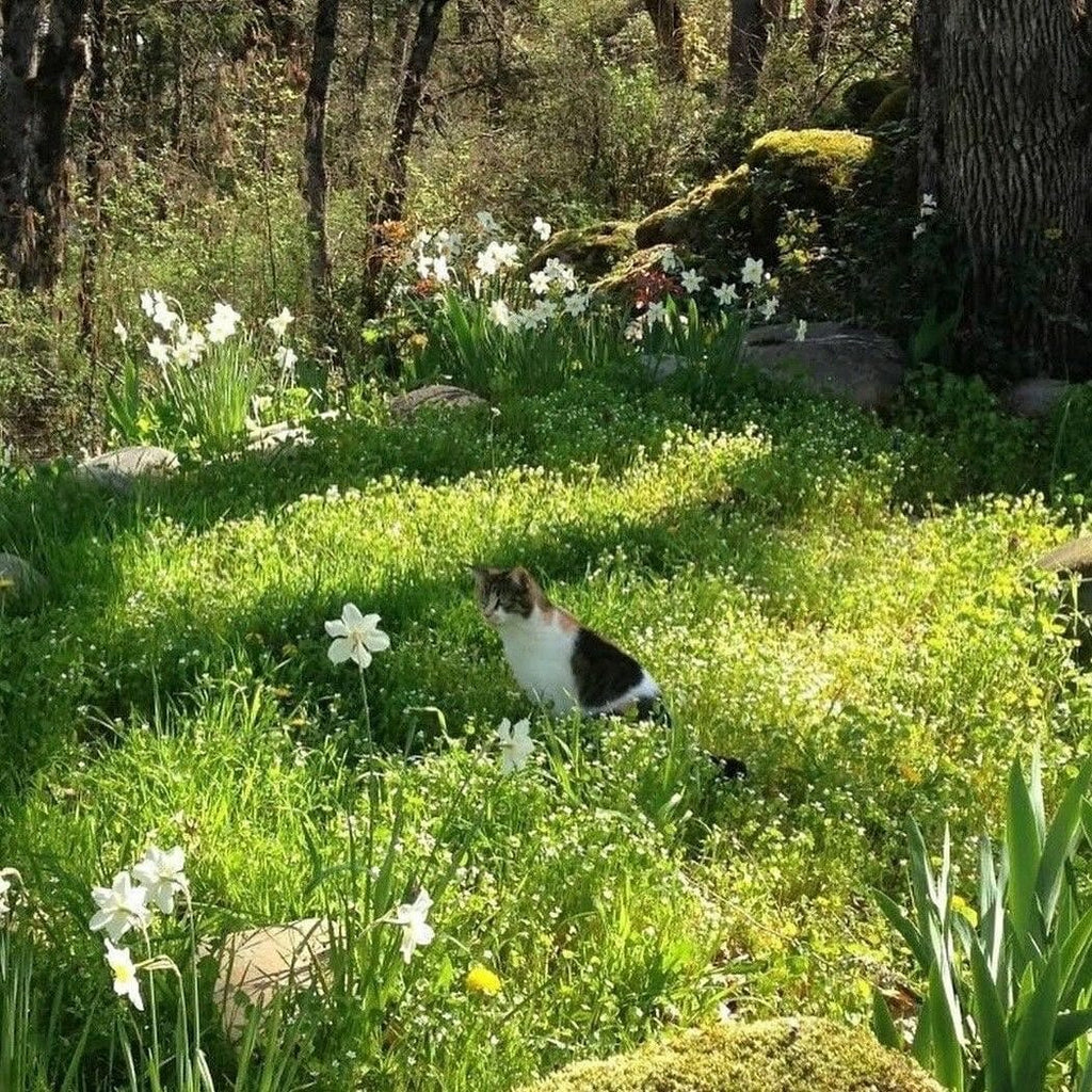 I'm not bored HOME ふかふか芝生のクッション