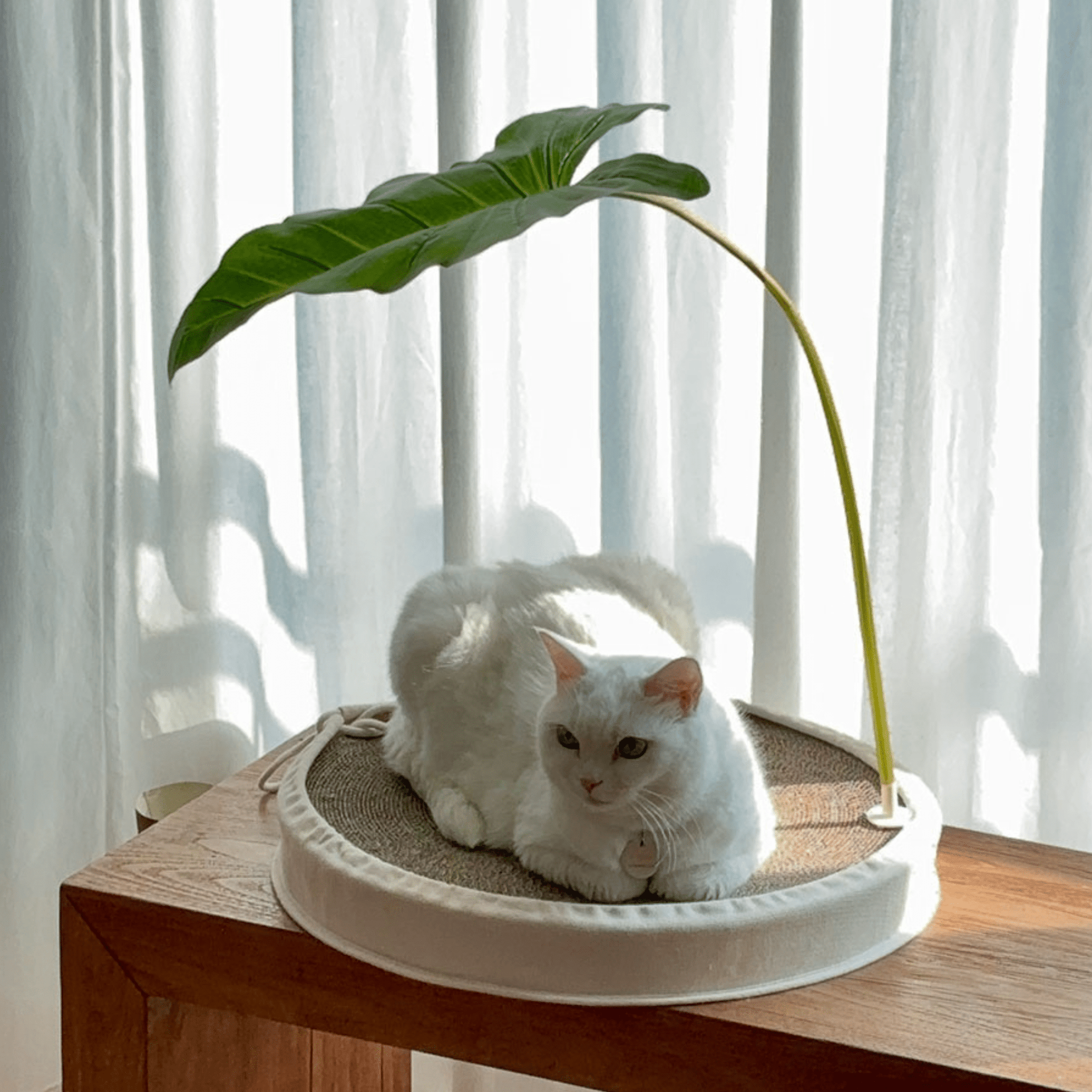 ねこがダメになるハンモック – Sorbet