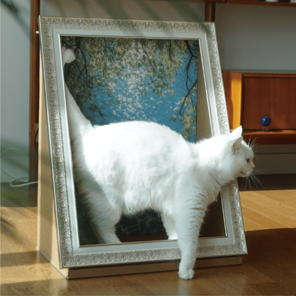 Sorbet 猫がアートになる額縁の隠れ家