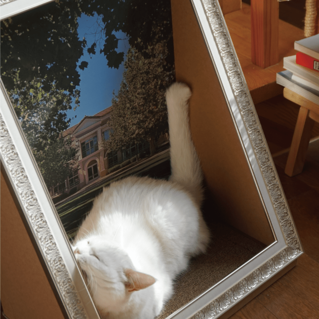 Sorbet 猫がアートになる額縁の隠れ家