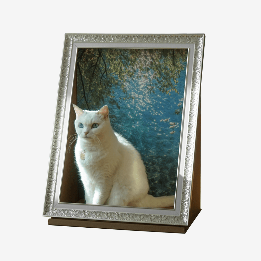 Sorbet 猫がアートになる額縁の隠れ家