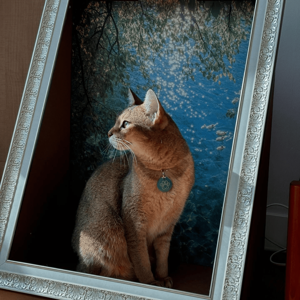 Sorbet 猫がアートになる額縁の隠れ家