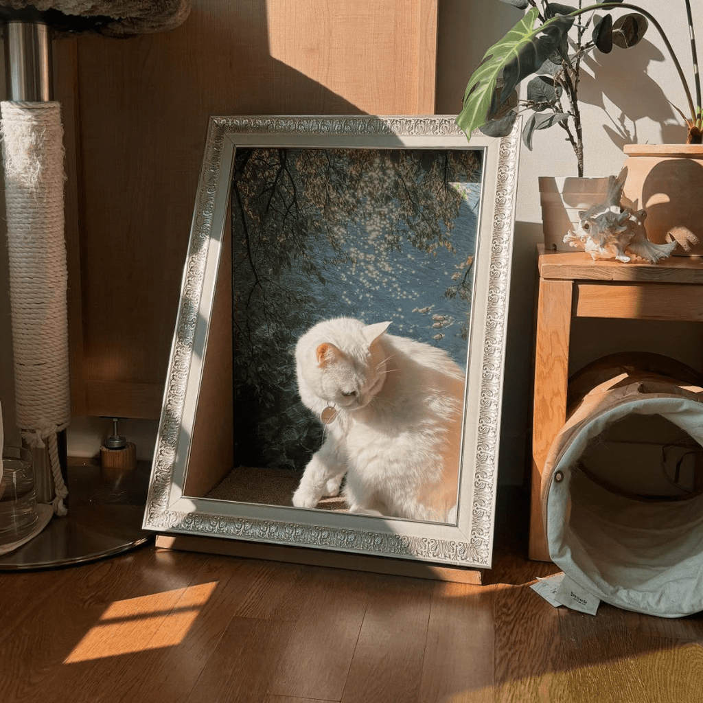 Sorbet 猫がアートになる額縁の隠れ家