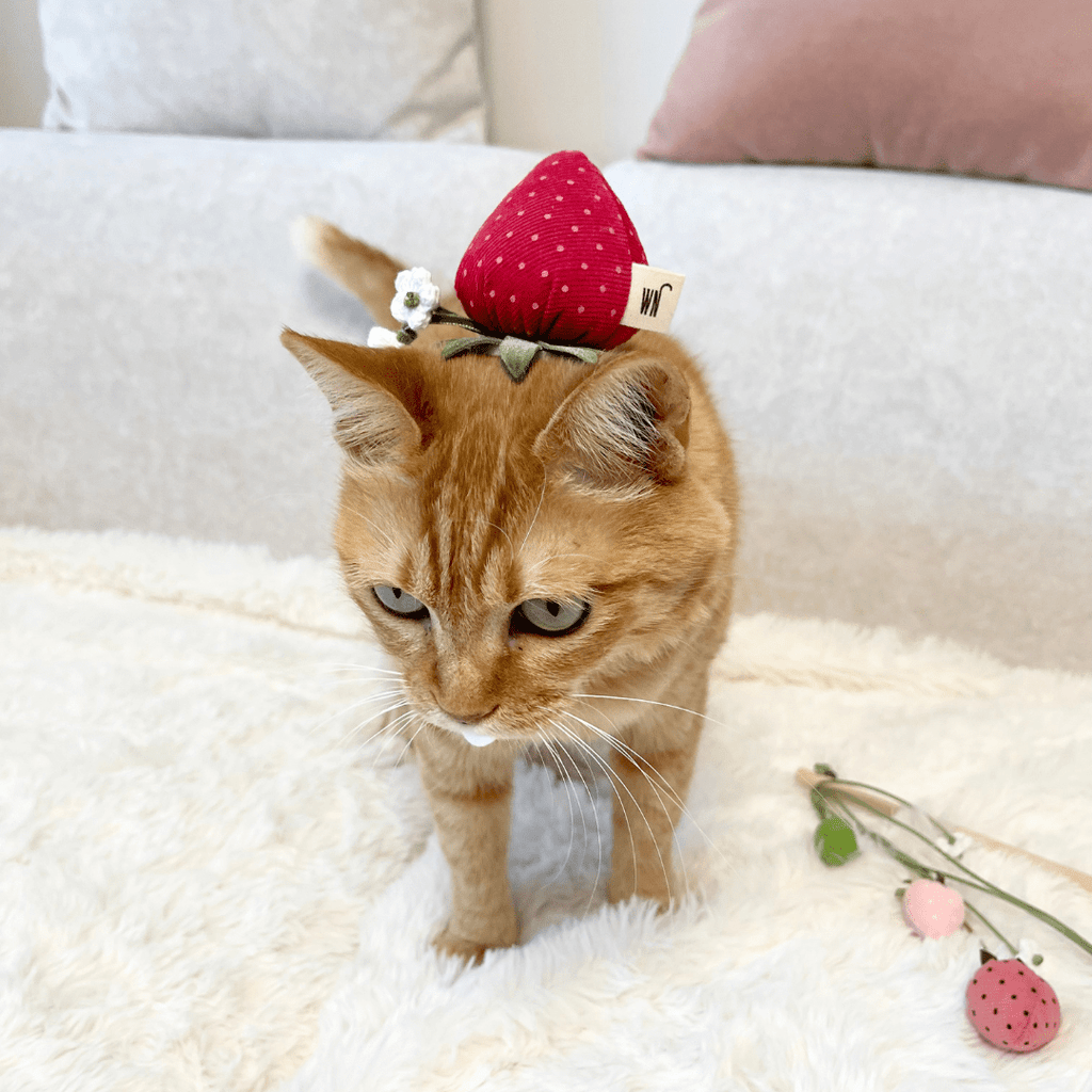WETNOSE ねこ用おもちゃ strawberry hat