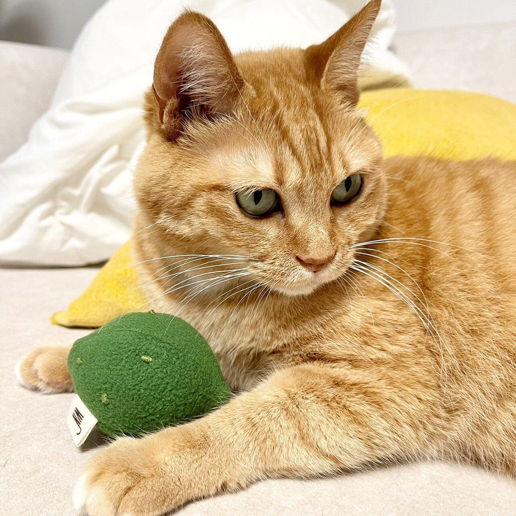 WETNOSE CAT TOYS Citrus Cat Toy