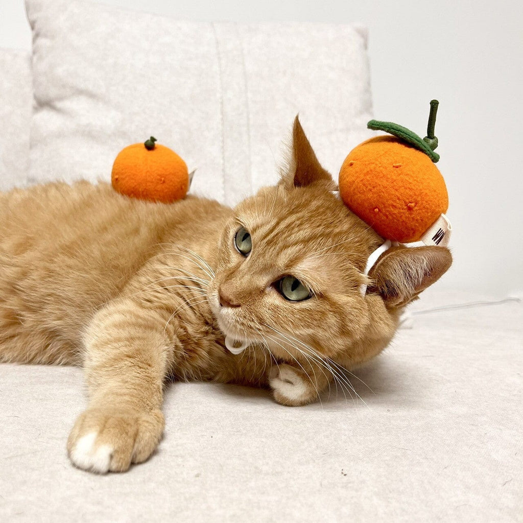 WETNOSE CAT TOYS Citrus Cat Toy