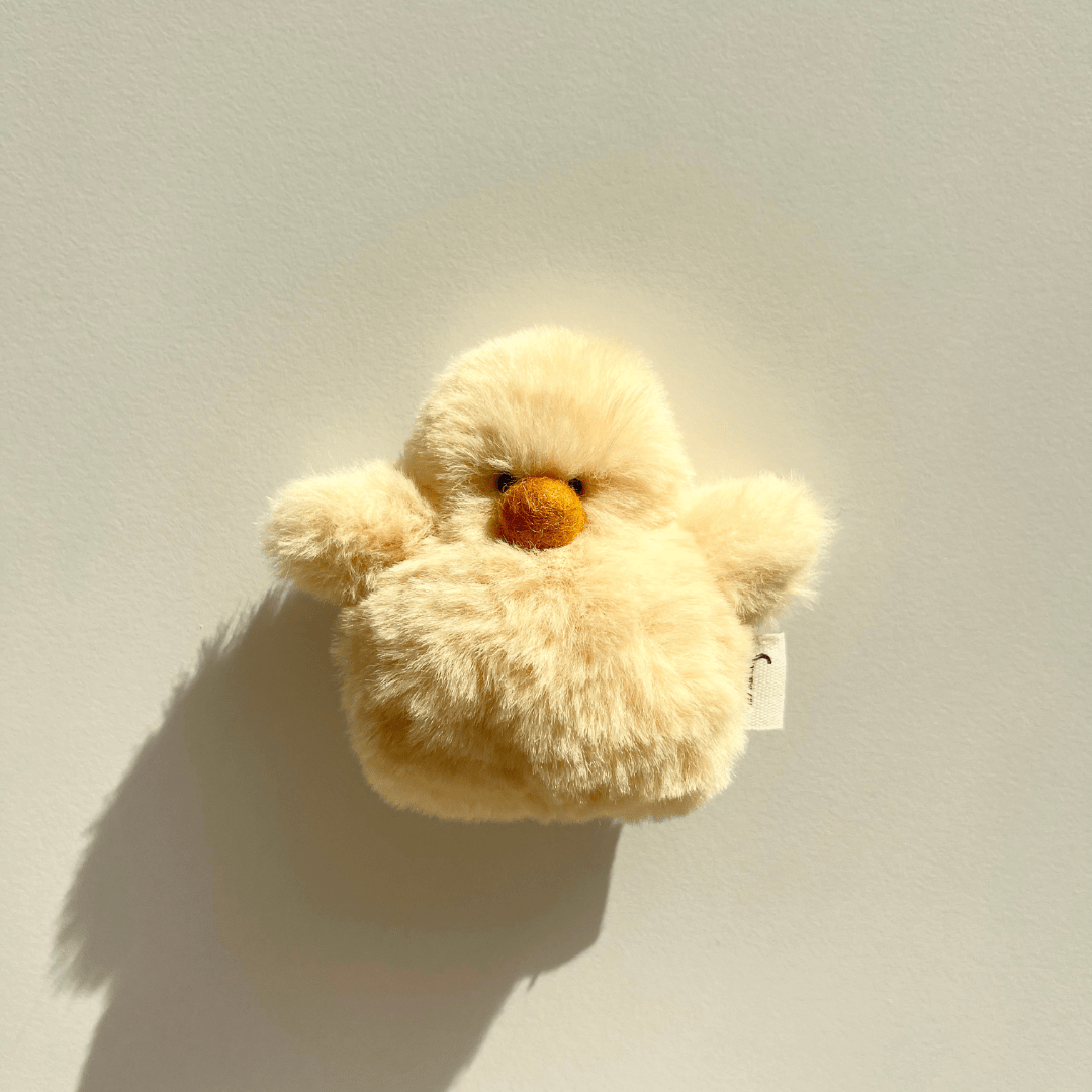 chick 3 set – Sorbet