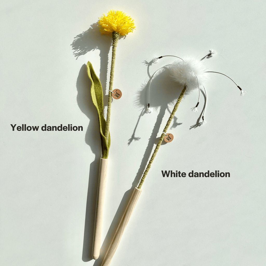 WETNOSE dandelion