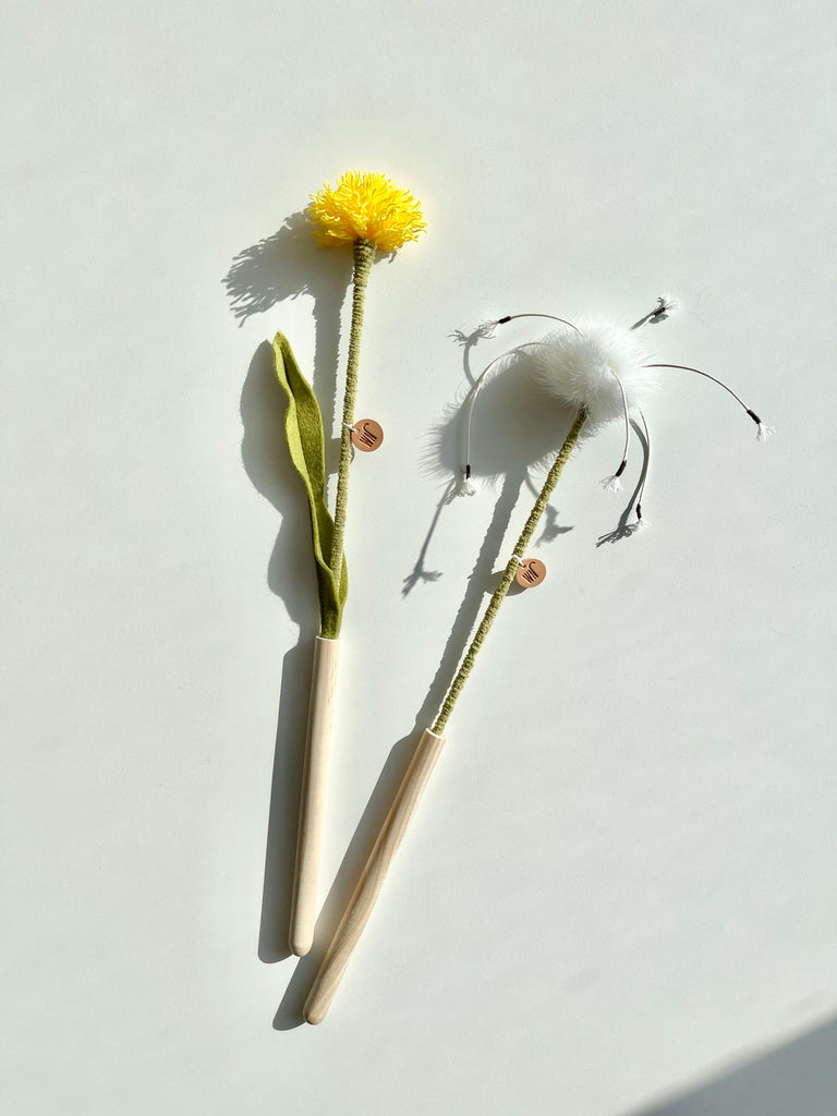 WETNOSE dandelion