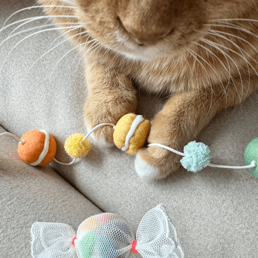 WETNOSE mini macaron