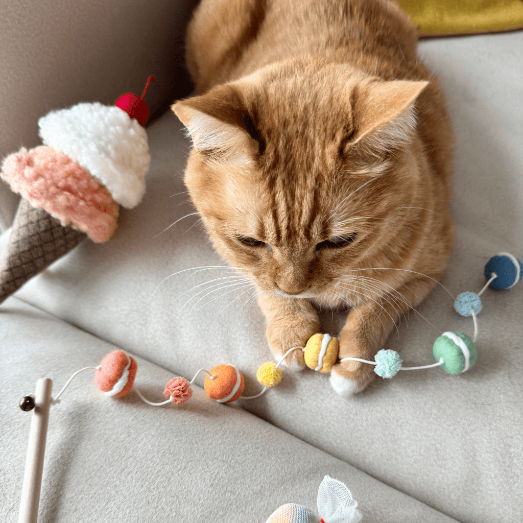 WETNOSE mini macaron