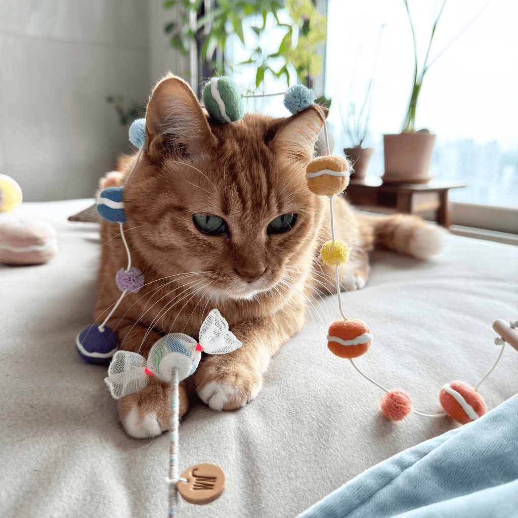 WETNOSE mini macaron