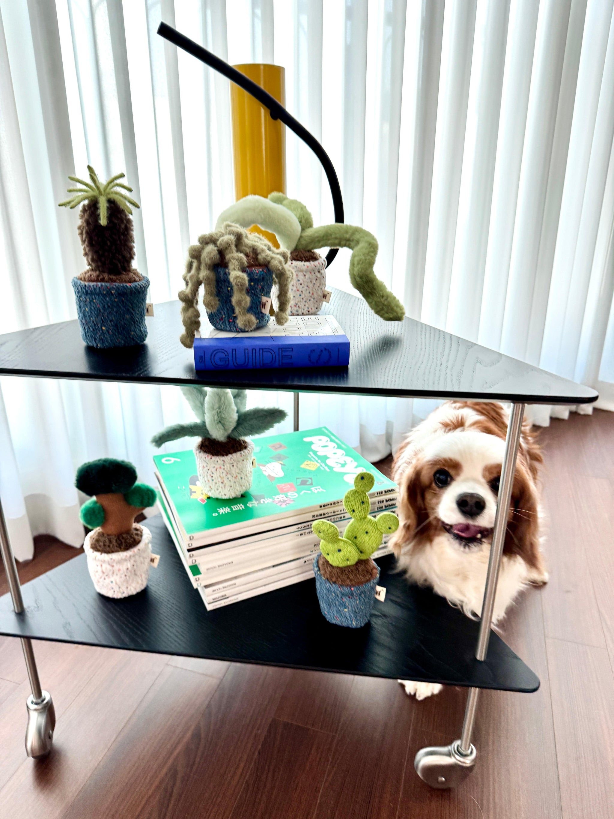 bunny ear – Sorbet