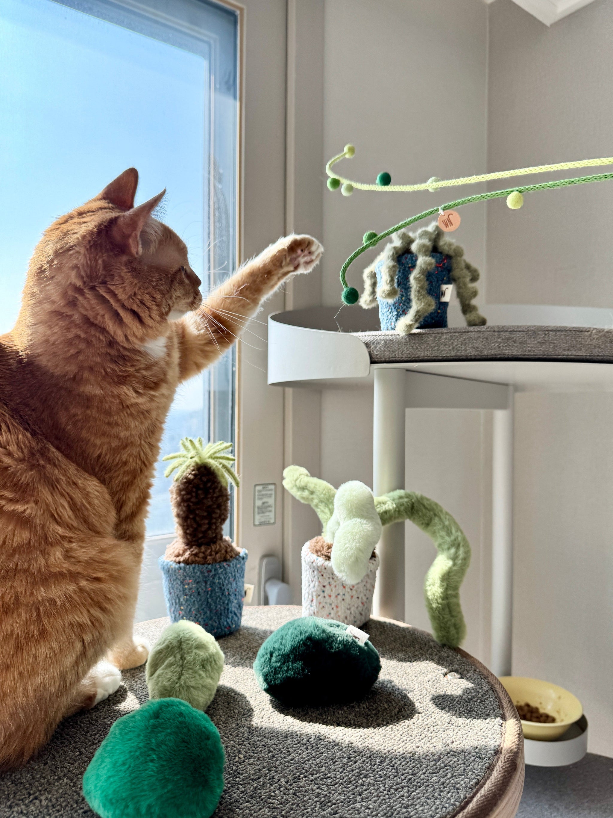 bunny ear – Sorbet