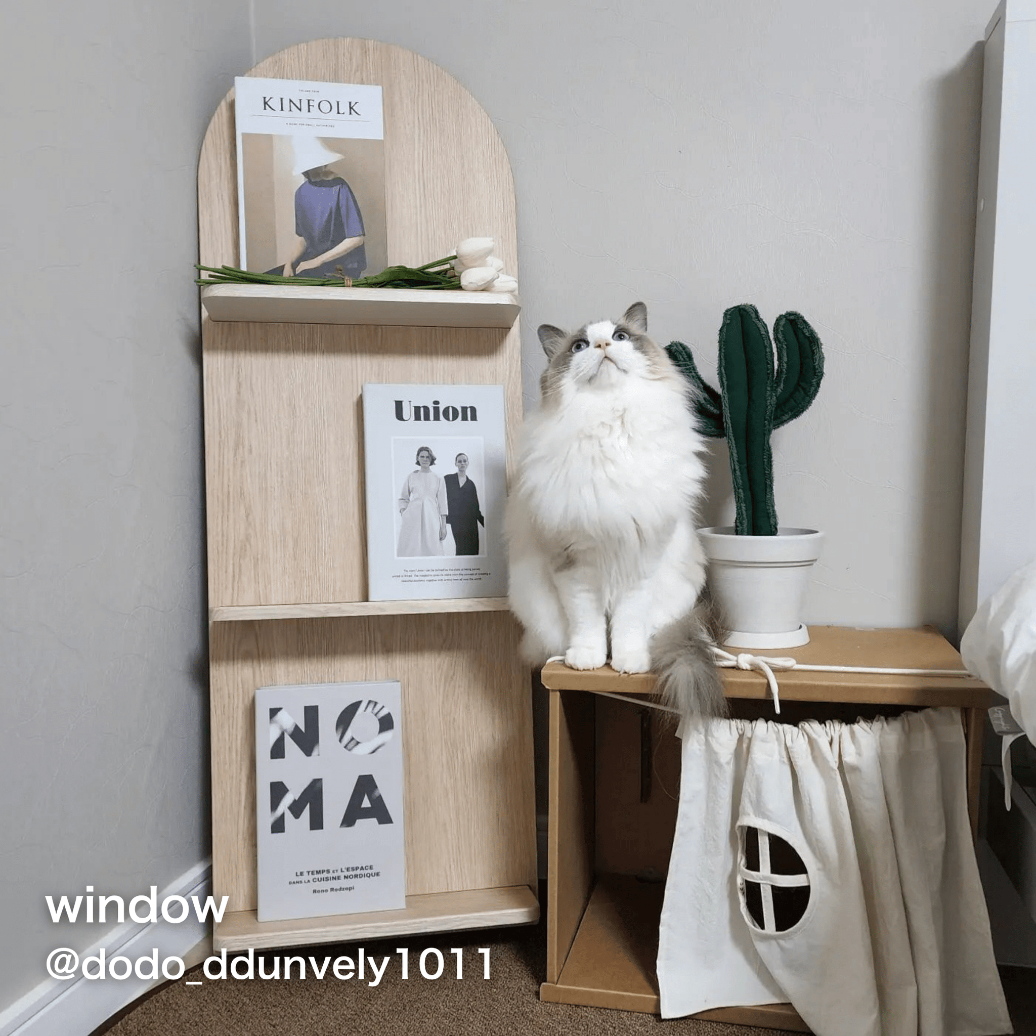 バニーガーデン divinecross 未開封BOX 3BOX Amazon.co.jp: TCG バニー