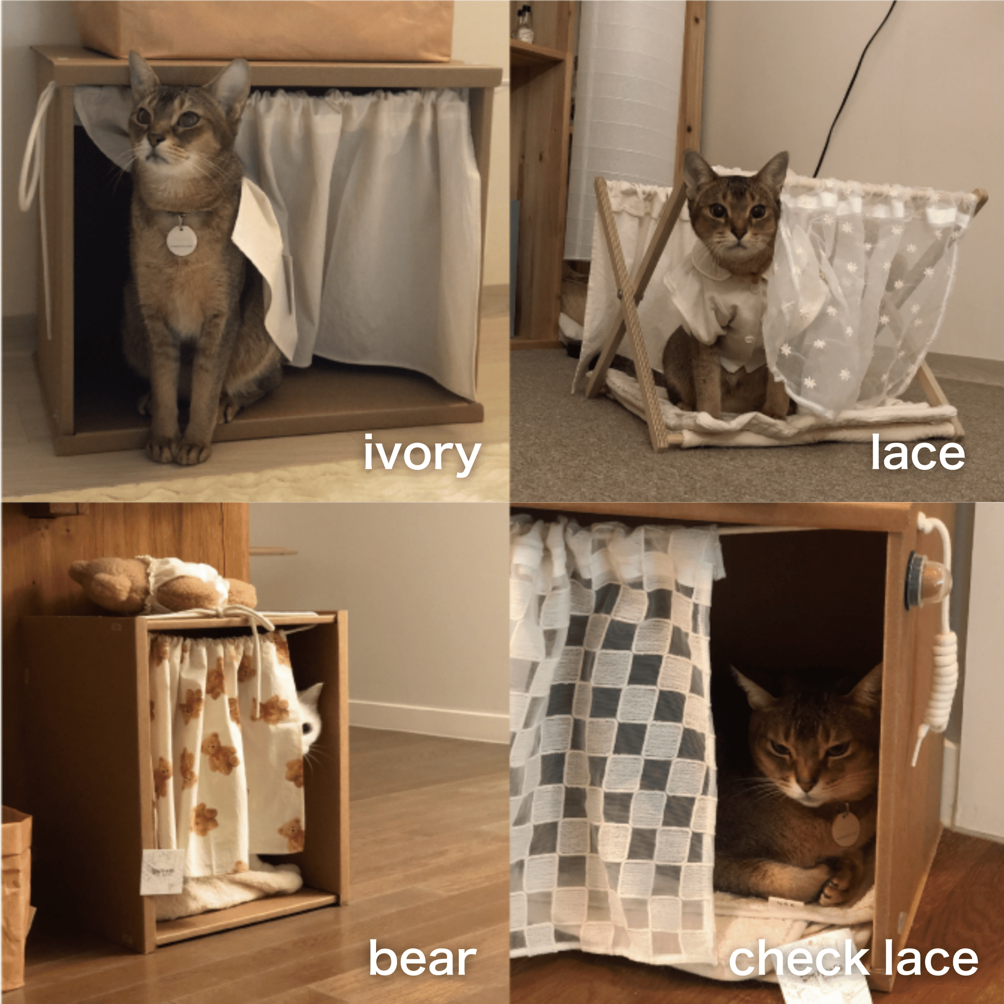 バニーガーデン divinecross 未開封BOX 3BOX Amazon.co.jp: TCG バニー バニーガーデン divinecross 未開封BOX 3BOX Amazon.co.jp: TCG バニー