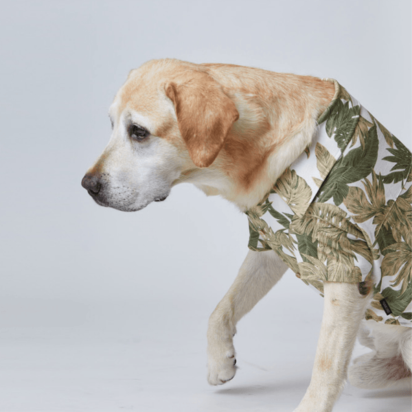 munikund シャツ HAWAIIAN SHIRT
