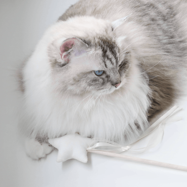The Royal Grocery ねこ用おもちゃ one size BonBon Wand - Twinkle Ivory