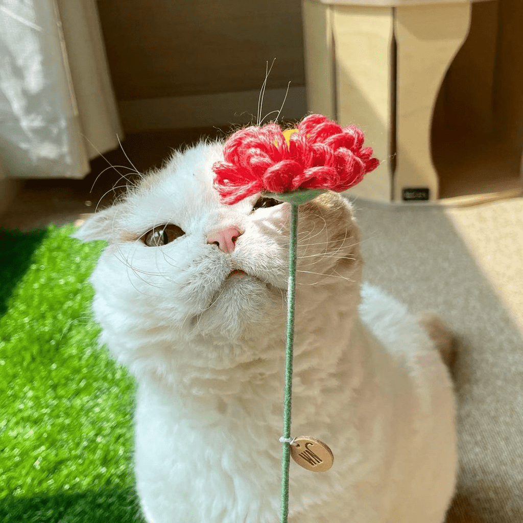WET NOSE ねこ用おもちゃ flower