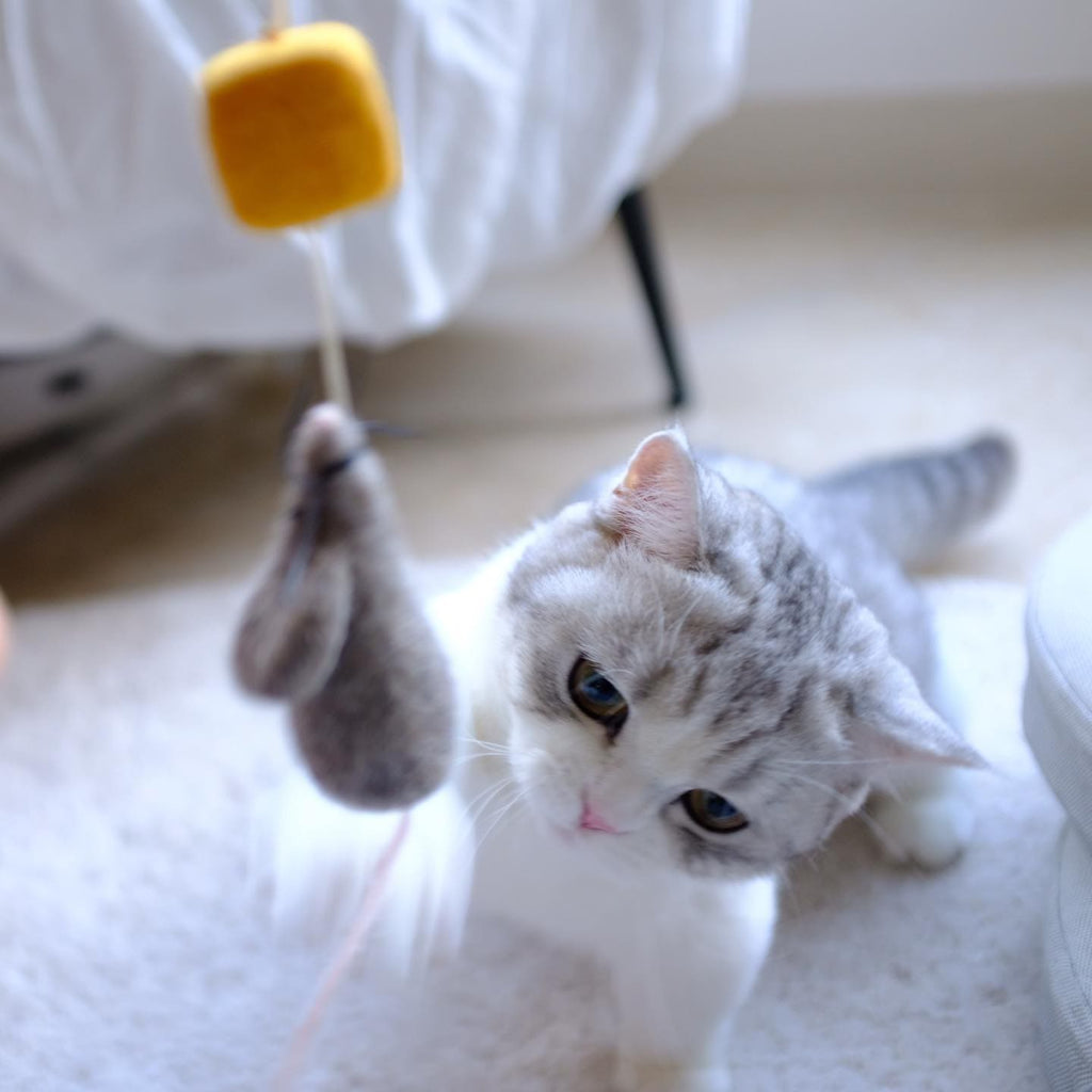 WETNOSE ねこ用おもちゃ mouse & cheese