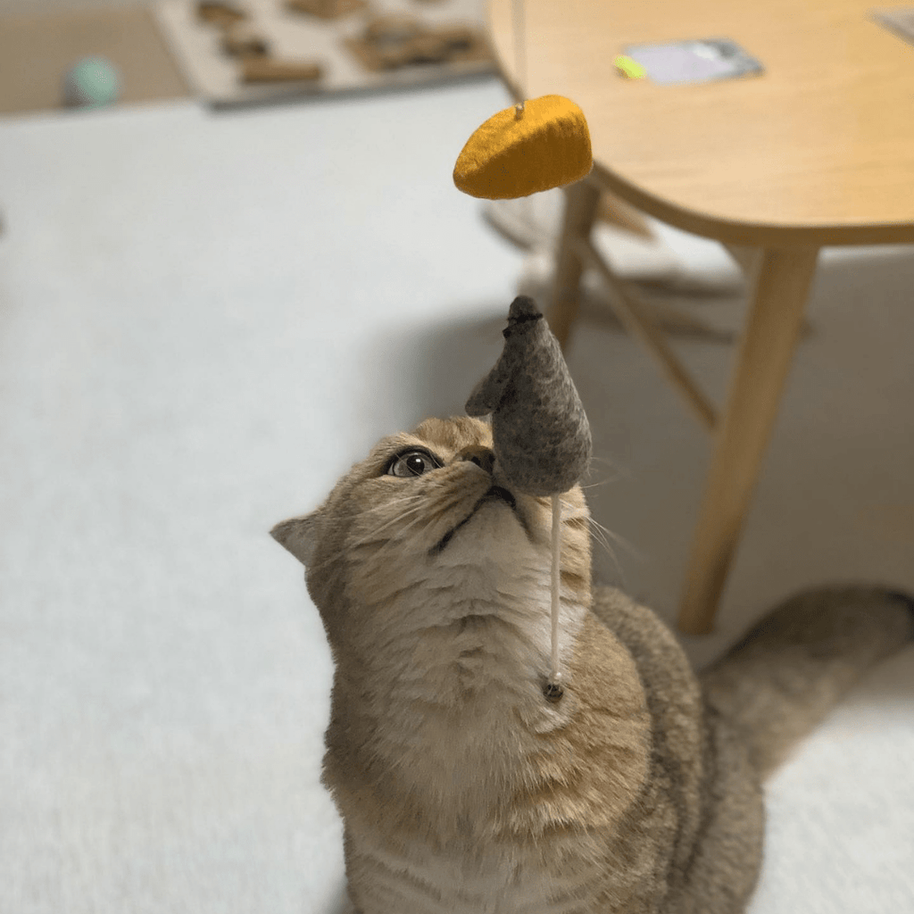 WETNOSE ねこ用おもちゃ mouse & cheese