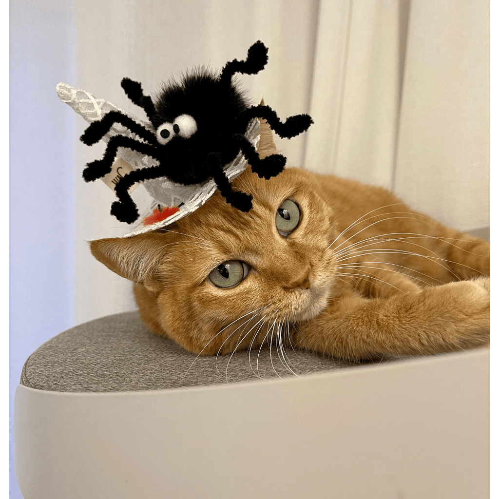 WETNOSE ねこ用おもちゃ spider's web